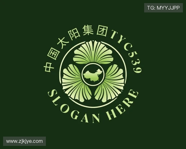 解读中国太阳集团tyc539